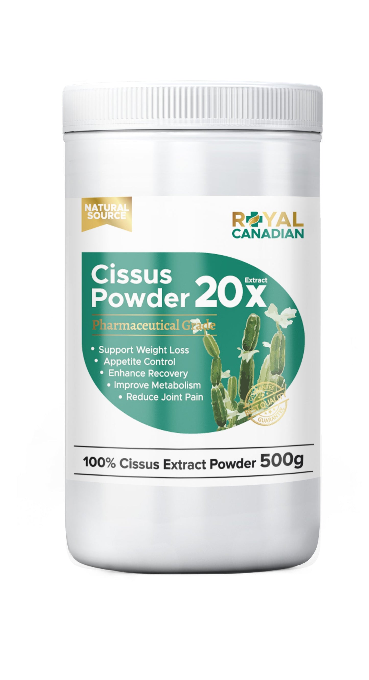 시서스 파우더 100% Cissus Powder 20X Extract