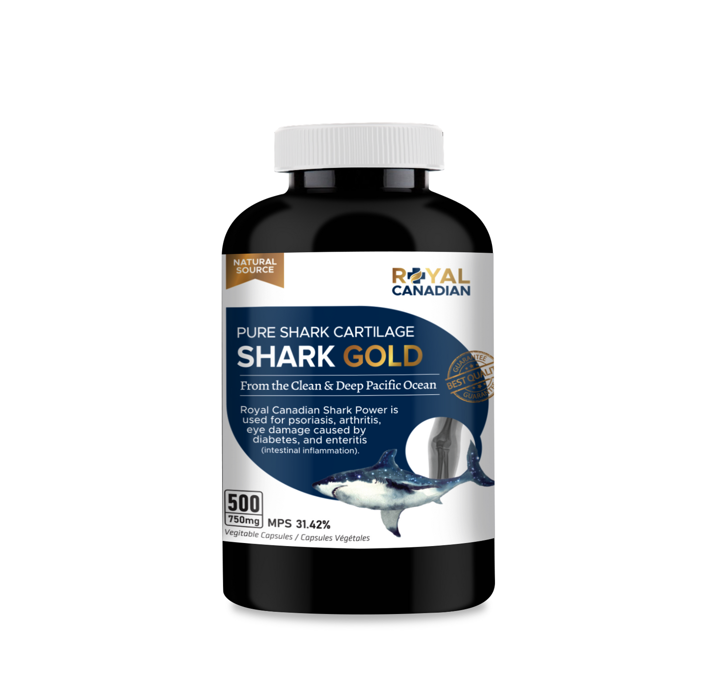 샤크 골드 Shark Gold